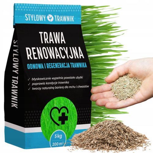  Ornamental grass, grass mixture, for dry areas, for shady areas, renovation Stylowy Trawnik 200 m² 5 kg