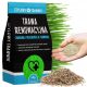 Ornamental grass, grass mixture, for dry areas, for shady areas, renovation Stylowy Trawnik 200 m² 5 kg