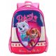  PAW PATROL school backpack, solid A4, strong SKYE