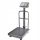 NESCO platform scale 300 kg x 100 g