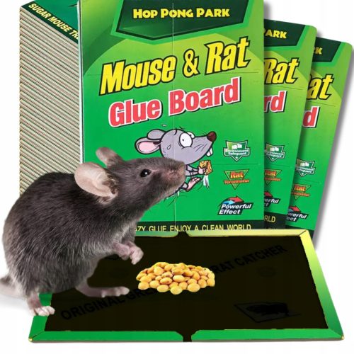  Stay safe against mice and rats