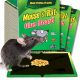  Stay safe against mice and rats