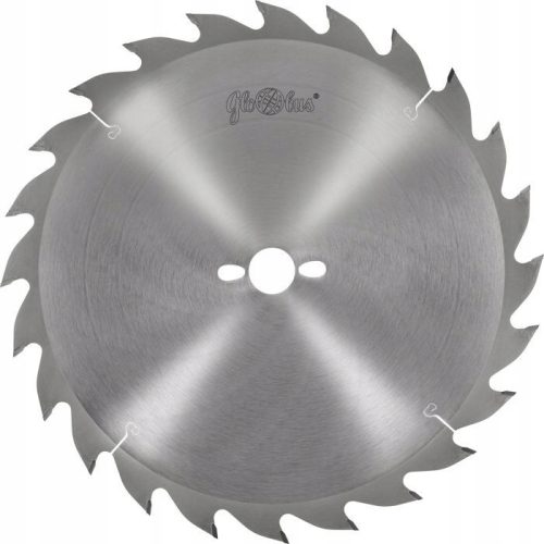 Globus PS010 cutting saw