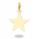  Gold star pendant with asterisk PR. 585