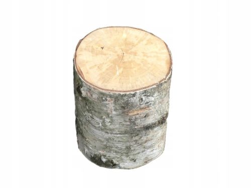  Garden stump trunk fireplace BIRKE scratching post 25 cm