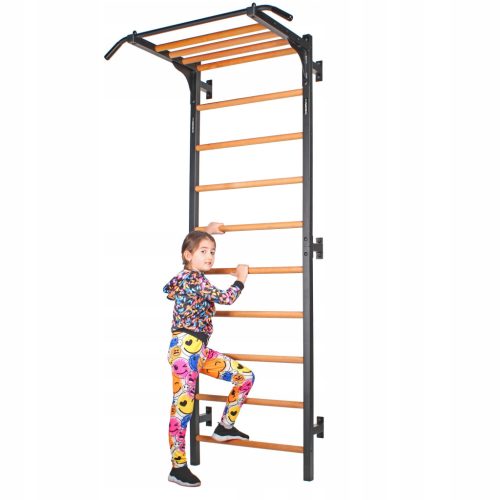  ENDORFIT | GYMNASTIC REHABILITATION LADDER for exercises, 232x85 cm