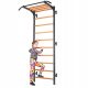  ENDORFIT | GYMNASTIC REHABILITATION LADDER for exercises, 232x85 cm