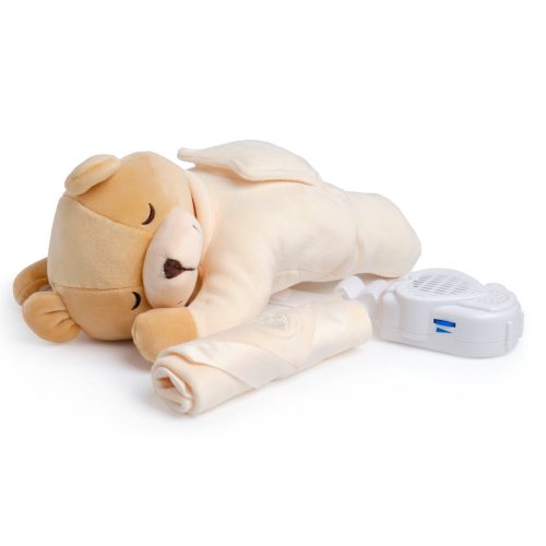  Prince Lionheart Teddy Bear Grumpy Sleeper + Panasonic AAA Zinc-Carbon Battery (R3) 12 pcs.