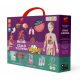  3D educational kit for children Human body with AR FastAR Kids