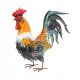  GARDEN DECORATION FIGURE FOR THE GARDEN, LARGE ROOSTER