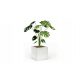  PROSPER flowerpot 50 cm x 50 x 50 cm concrete