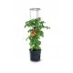  Prosperplast flowerpot 39 cm x 39 x 153 cm diameter 39 cm plastic black