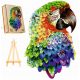  LARGE WOODEN PUZZLE 300 PIECES PARROT IN A WOODEN BOX