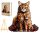  LARGE WOODEN PUZZLE 220 PIECES MAINE COON FAMILY IN A WOODEN BOX