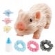  Reborn Mini Piggy Soft Toy with Accessories Mini Baby Piggy Silicone Pig Doll