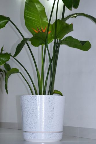  Kerd flowerpot 31 cm x 32.5 x 31 cm diameter 32.5 cm plastic white, chrome, black, grey and silver tones, multicoloured