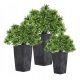  Prosperplast flowerpot 24 cm x 24 x 44.9 cm diameter 24 cm plastic in the colors gray and silver + 2 more products