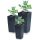  Prosperplast flowerpot 19.5 cm x 19.5 x 37.5 cm diameter 1 cm plastic in grey and silver tones + 2 more products