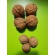  Walnuts and hazelnut Koszyce seedling in 3-5 l container, 100-150 cm