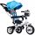  Ecotoys 738 Blue Tricycle