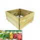  Mini greenhouse 64 cm x 60 cm made of wood