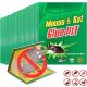  Garden Party Trap against Mice and Rats