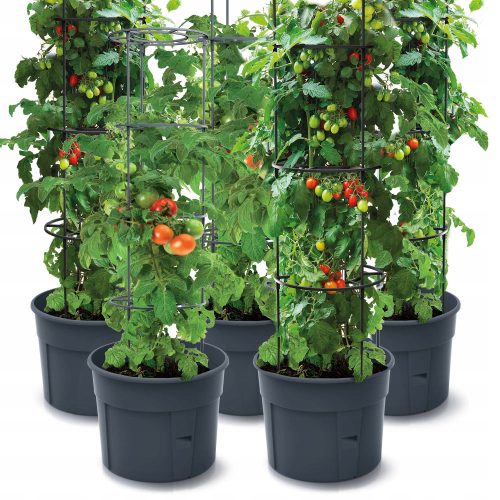  Prosperplast flowerpot 39.2 cm x 39.2 x 153 cm diameter 39.2 cm plastic anthracite