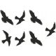  Manufacturer of bird repellent stickers