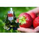  HONEOYE wild strawberries and tubers/bulbs/rhizomes in bulk packaging 5-10 cm