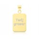  Men's gold pendant 585 plate + Engraving pendant dog tag