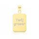  Men's gold pendant 585 plate + Engraving pendant dog tag