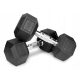  Fixed dumbbells 2x10kg cast iron rubberized SET 20kg HEX for training SOLID