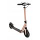  Two-wheeled foldable city scooter for children Original SPORTRIKE 2024