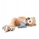  Teddy bear big 340cm Giant big plush toy