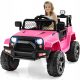  GOPLUS Pink Car