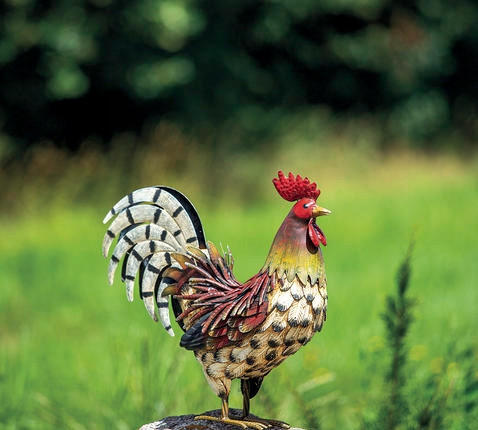  Metal figure, COCK made of metal, sculpture, garden decoration HIT!