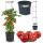  Prosperplast flowerpot 39.5 cm x 39.5 x 153 cm diameter 39.5 cm plastic black