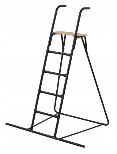  PLATFORM LADDER TOSIA MAX 300