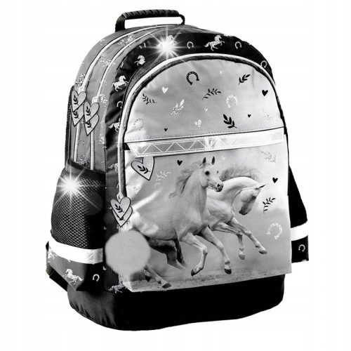 PASO School Backpack with Reflective Elements and Ergonomic Support PP24KE-116