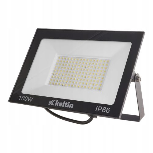  Halogen warm white 100 lm 100 W