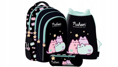  Pusheen St. School backpack with multiple compartments. Majewski Multicolored 22 years old