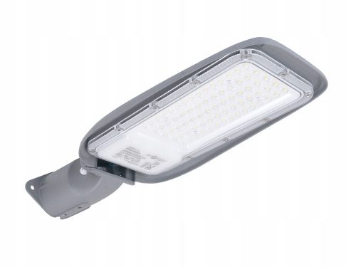 Ecolight street light 50 W 6500 lm mains operated