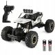  Remote Control Large Off-Road RC Car, 4x4 Remote Control Car, Metal Monster + Energizer AA Alkaline Battery (R6) 2pcs