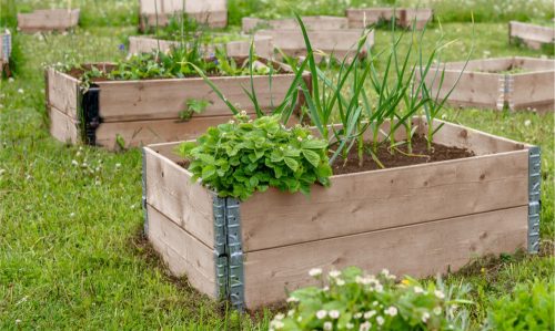  CMC GARDEN flowerpot 120 cm x 80 x 19 cm natural wood