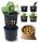  Prosperplast flowerpot 39.2 cm x 39.2 x 31.6 cm diameter 39.2 cm plastic black