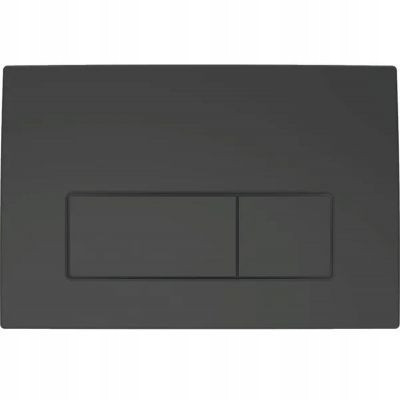  Geberit Delta black toilet flush button