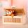  Audio Version Useless Box Wooden Electronic