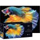  PUZZLE 250 PIECES Colourful FISH Interdruk PUZZLE for ADULTS LARGE