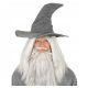  Gray Wizard Hat, St. Andrew's Day Wizard