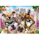  Wooden Puzzle WoodenCity 1000 Pieces Crazy Animals